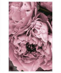 Plakat z fioletowym kwiatem piwonii