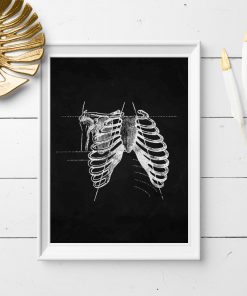 Plakat - Anatomia żeber