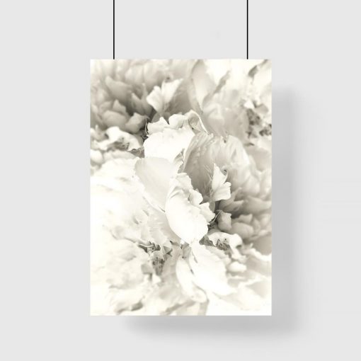 plakat w ramie z białymi kwiatami