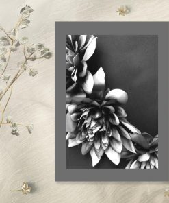 Plakat - Kwiaty czarno-białe na przedpokój