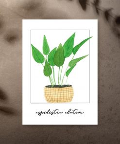 Plakat z rośliną do sypialni