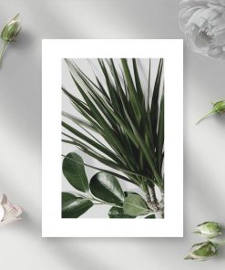Plakat z roślinami