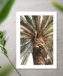 Plakat do biura podróży - Motyw egzotycznej palmy