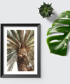 Plakat do sypialni - Motyw egzotycznej palmy