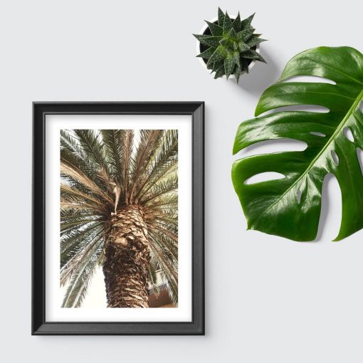 Plakat do sypialni - Motyw egzotycznej palmy