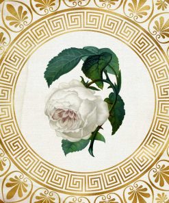 Plakat - Biała róża