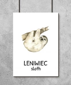 szary leniwiec zwisający z gałęzi- plakat dla dziecka