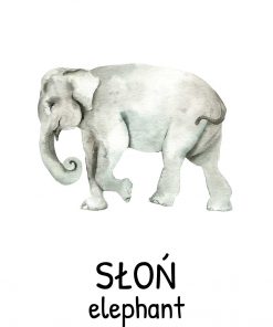Plakat edukacyjny ze słoniem