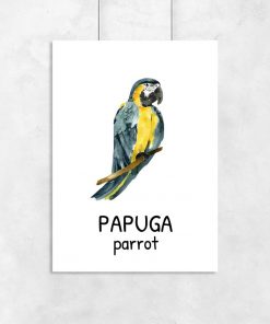 Plakat z papugą dla dziecka