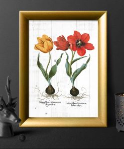 Plakat z tulipanami do przedpokoju