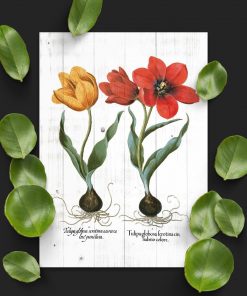 Plakat z tulipanami do sypialni