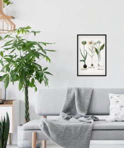 Botaniczny plakat z motywem kwiatów polskich do salonu