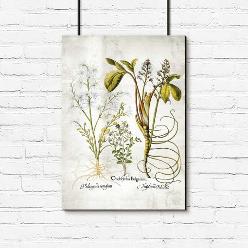 Kwiat frangipani - Plakat florystyczny do biura