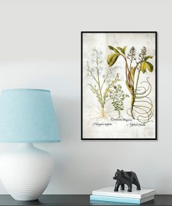 Kwiat frangipani - Plakat florystyczny do gabinetu