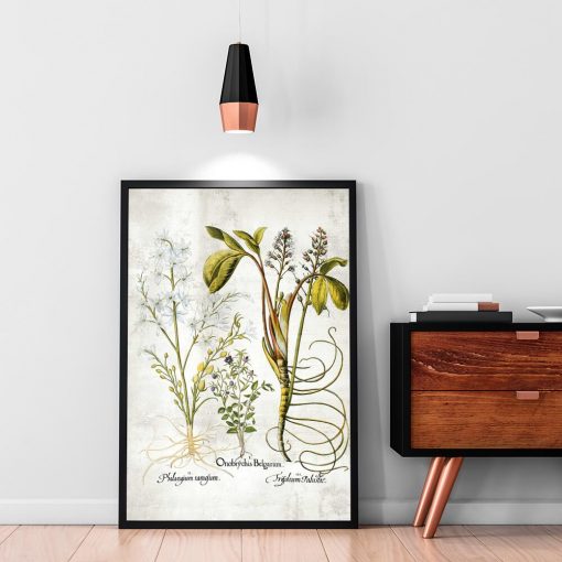 Kwiat frangipani - Plakat florystyczny do salonu