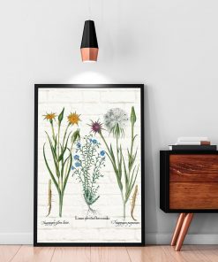 Plakat botaniczny - Salsefia purpurowa do biura