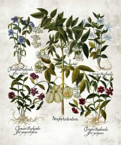 Plakat botaniczny z barwnymi kwiatami do jadalni