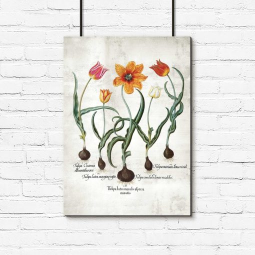 Plakat edukacyjny z tulipanem do biura