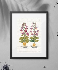 Plakat fioletowe lilie i korzenie