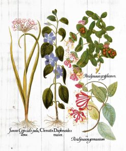 Plakat jako pomoc naukowa z kwiatami