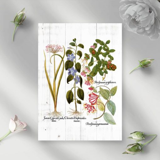 Plakat kwiaty i ich korzenie