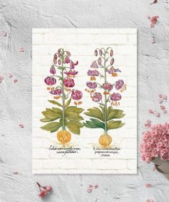 Plakat z fioletowymi liliami i cebulami