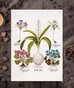 Plakat z kwiatami - Krokus do kuchni
