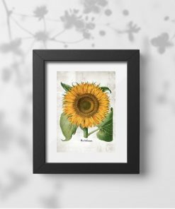 Plakat z kwiatem słonecznika do powieszenia w korytarzu