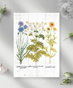 Plakat z kwitnącymi roślinami zielnymi