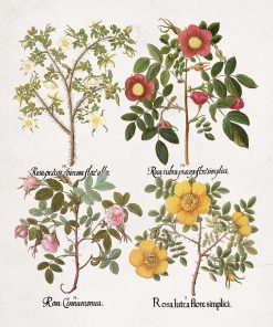 Plakat z motywem kwiatowym jako pomoc naukowa