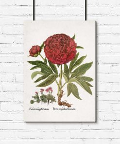 Plakat z motywem kwiatowym