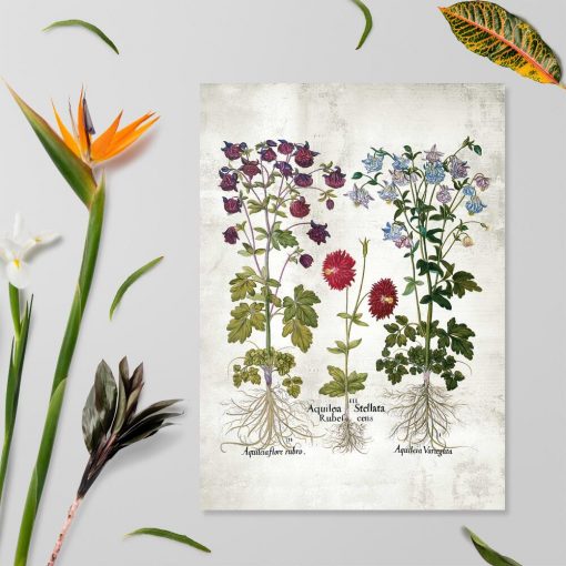 Plakat z motywem kwitnących ogrodowych kwiatów