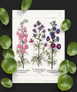 Plakat z roślinami leczniczymi na cegłach