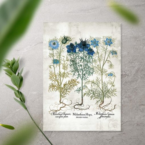 Plakat z roślinami w niebieskim kolorze