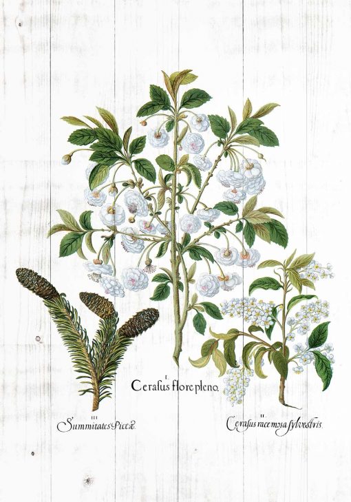 Plakat z roślinnym motywem na białych deskach do jadalni
