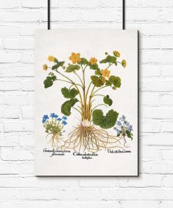 Rustykalny plakat z polnymi kwiatami do kuchni