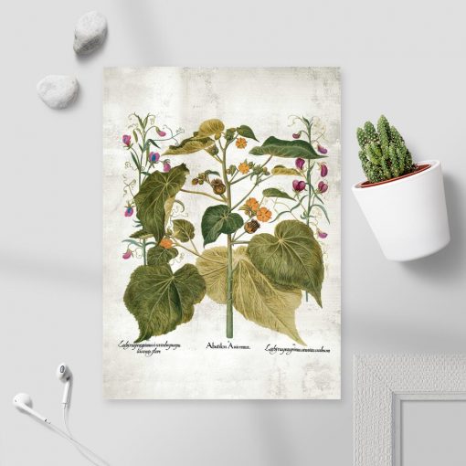 Dydaktyczny plakat z roślinami i łacińskimi nazwami