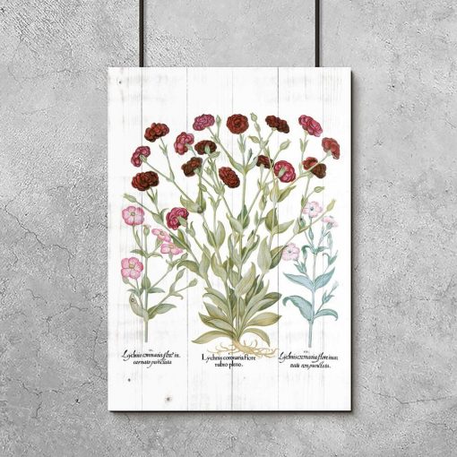 Plakat botaniczny z czerwonymi kwiatami do przedpokoju