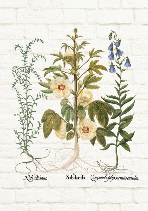 Plakat edukacyjny z motywem roślin na tle cegieł