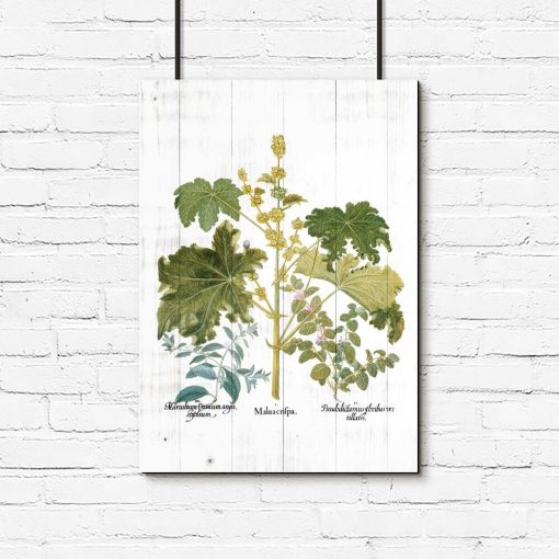 Plakat rystykalny z roślinami liściastymi