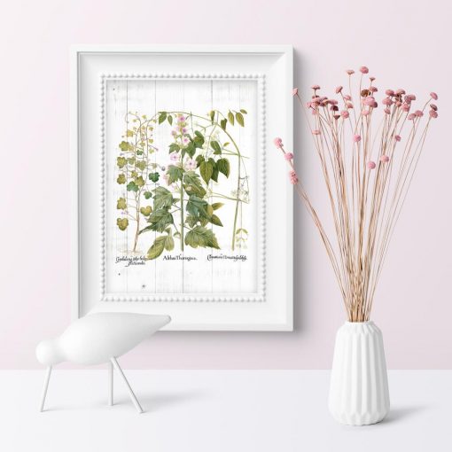 Plakat z kwiatami i ziołami do dekoracji przedpokoju