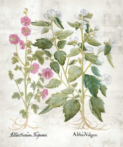Plakat z kwiatuszkami