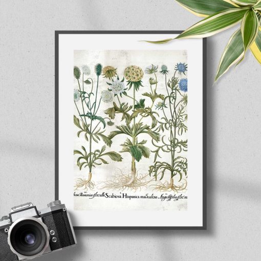 Plakat z motywem roślin kwitnących do dekoracji poczekalni