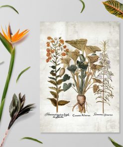 Plakat z ogórkiem i kwiatami ozdobnymi