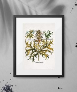 Plakat z roślinami ozdobnymi