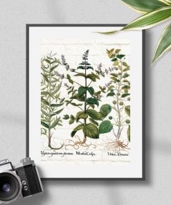 Plakat z roślinami