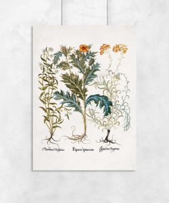 Plakaty z motywem roślinnym