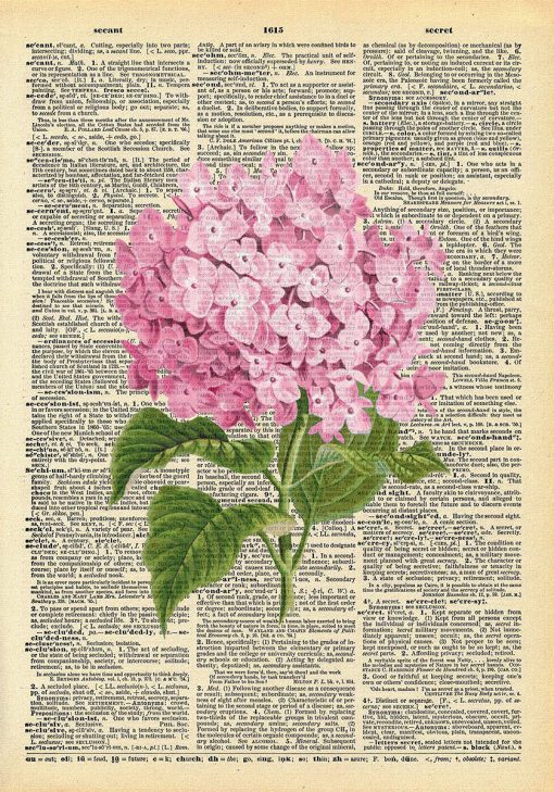 Plakat z różowym kwiatem